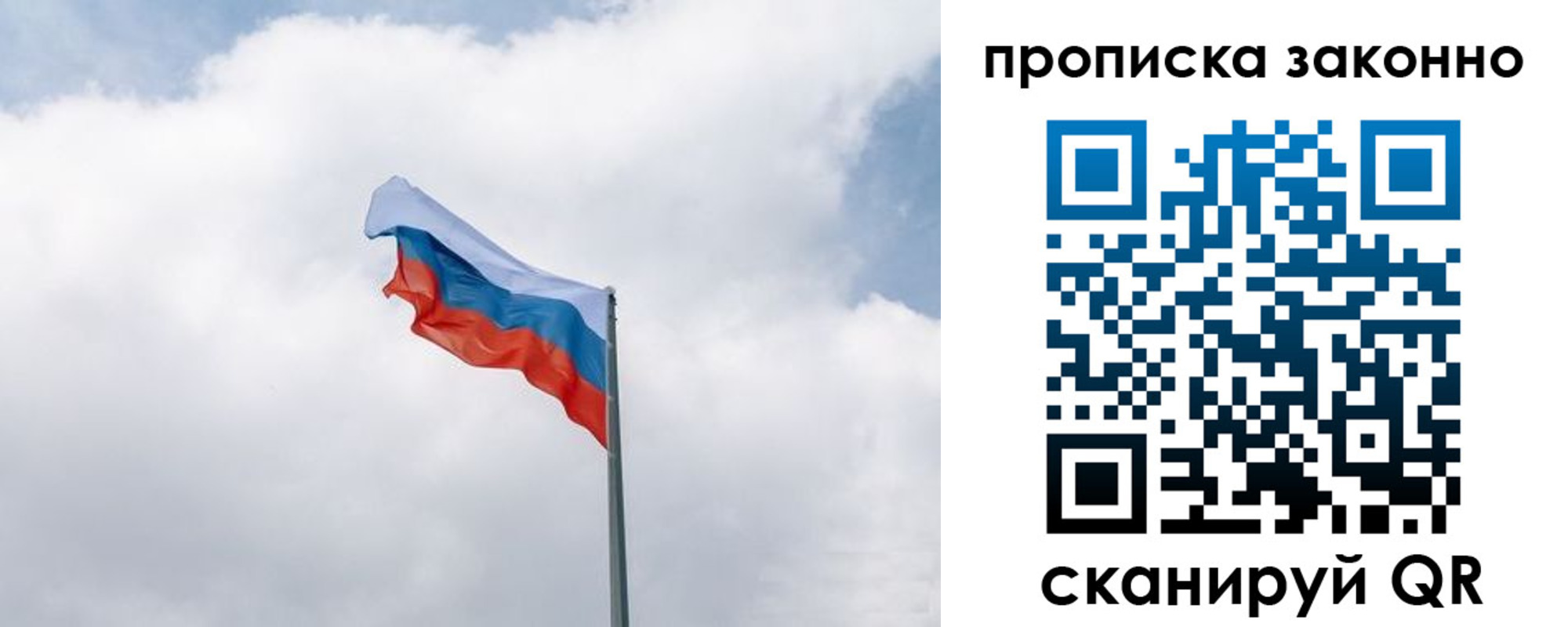 прописка поиск в Белгородской области